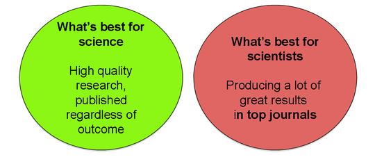 EP5 註冊報告十年展望