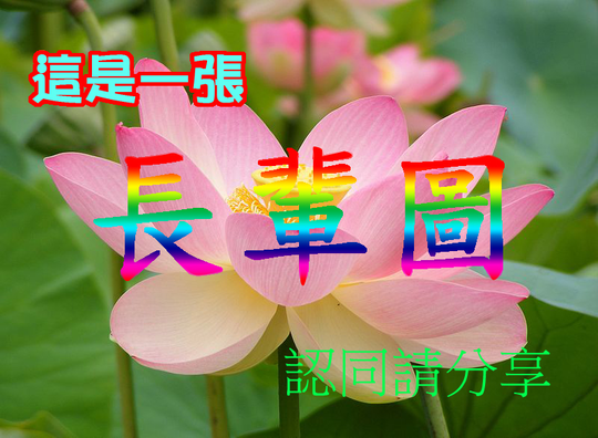 EP7 社會促發效應的終局之戰